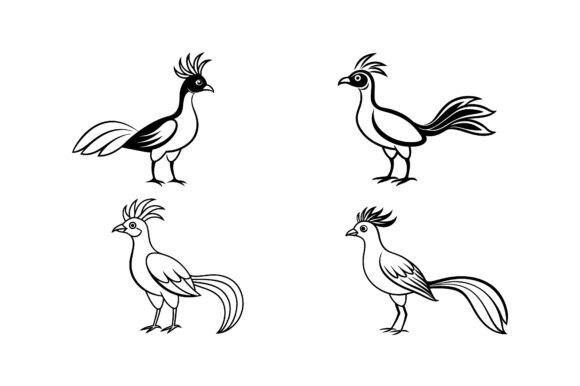 Hoatzin Silhouette Bird Line Art Bundle